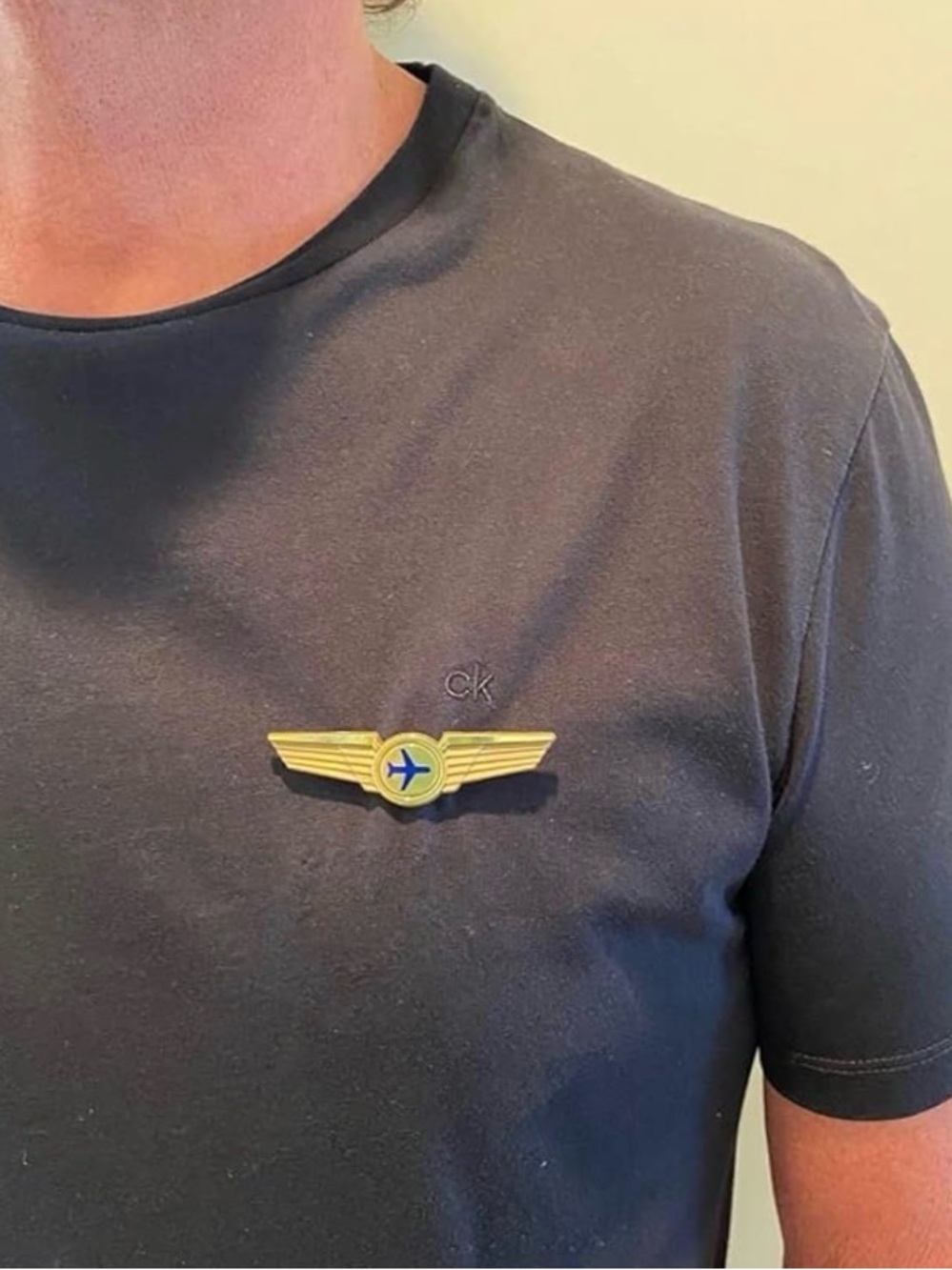 Pilot Wings Plastic Pins Pinbacks Badges Lot of 2 - Picture 3 of 5